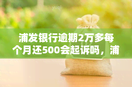 浦发银行逾期2万多每个月还500会起诉吗，浦发银行：逾期2万多，每月还500是否会面临被起诉的风险？