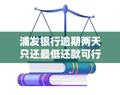 浦发银行逾期两天只还更低还款可行吗？逾期一天、三天后分别应如何还款？