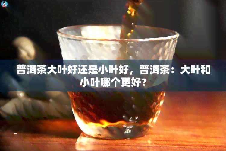 普洱茶大叶好还是小叶好，普洱茶：大叶和小叶哪个更好？