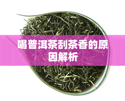 喝普洱茶刮茶香的原因解析