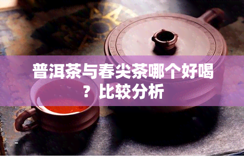 普洱茶与春尖茶哪个好喝？比较分析