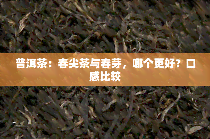 普洱茶：春尖茶与春芽，哪个更好？口感比较