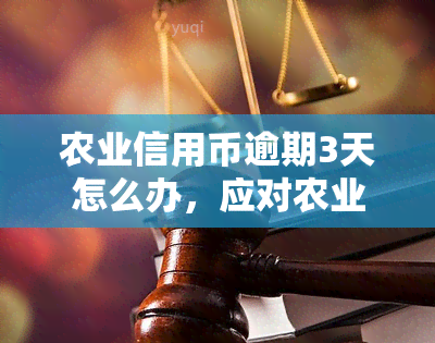 农业信用币逾期3天怎么办，应对农业信用币逾期：3天内解决方案全解析