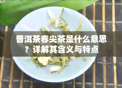 普洱茶春尖茶是什么意思？详解其含义与特点