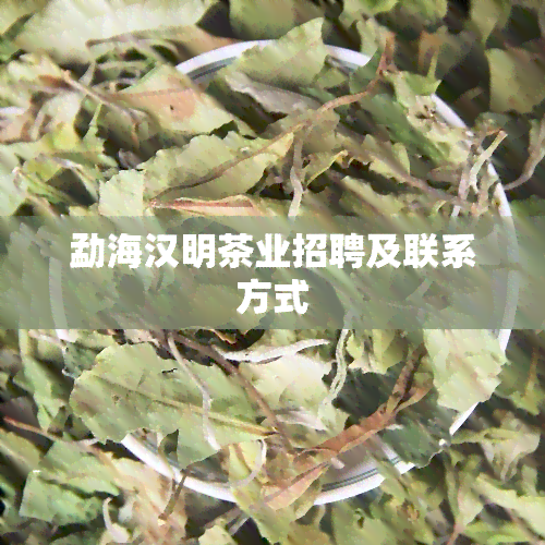 勐海汉明茶业招聘及联系方式