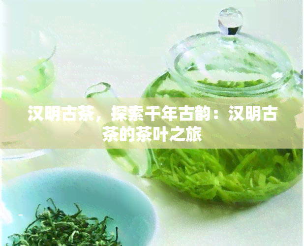 汉明古茶，探索千年古韵：汉明古茶的茶叶之旅