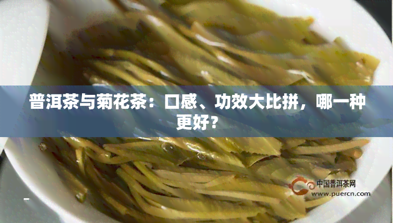 普洱茶与菊花茶：口感、功效大比拼，哪一种更好？