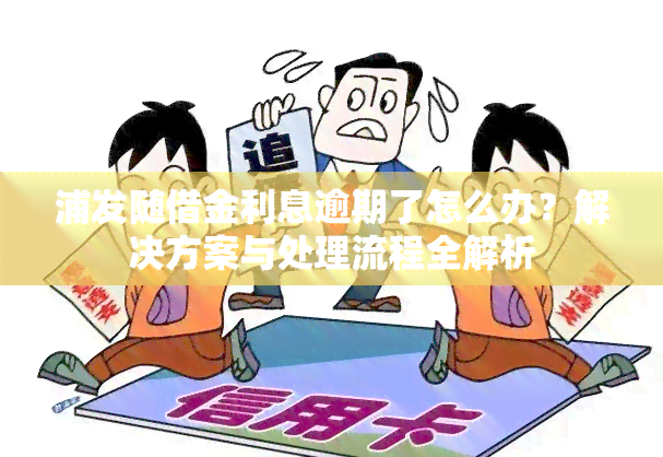 浦发随借金利息逾期了怎么办？解决方案与处理流程全解析