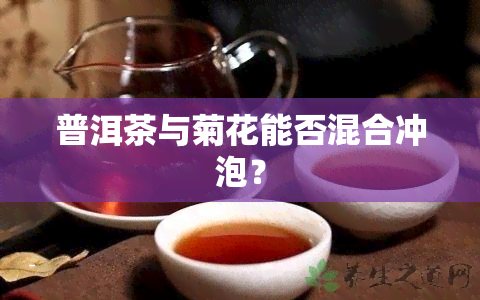 普洱茶与菊花能否混合冲泡？