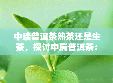 中瑞普洱茶熟茶还是生茶，探讨中瑞普洱茶：熟茶与生茶的口感和功效比较