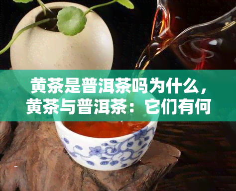 黄茶是普洱茶吗为什么，黄茶与普洱茶：它们有何不同？