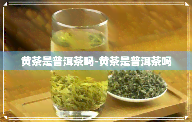 黄茶是普洱茶吗-黄茶是普洱茶吗