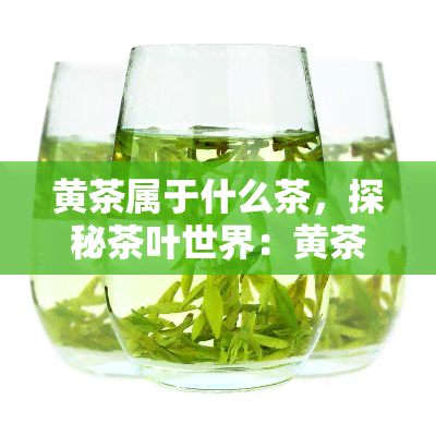 黄茶属于什么茶，探秘茶叶世界：黄茶属于哪一类茶？