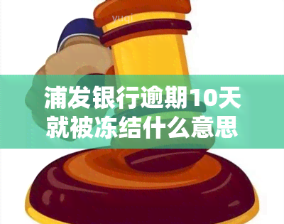 浦发银行逾期10天就被冻结什么意思，浦发银行逾期10天即被冻结：了解其含义与影响