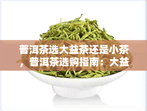 普洱茶选大益茶还是小茶，普洱茶选购指南：大益茶 vs 小茶，哪个更适合你？