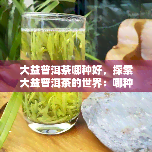 大益普洱茶哪种好，探索大益普洱茶的世界：哪种是的选择？