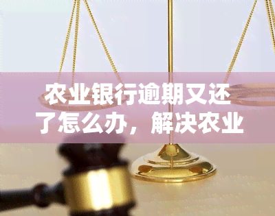 农业银行逾期又还了怎么办，解决农业银行逾期还款问题：逾期后如何正确处理并偿还欠款？