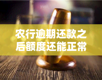 农行逾期还款之后额度还能正常使用么，农行逾期还款后，信用卡额度是否仍可正常使用？