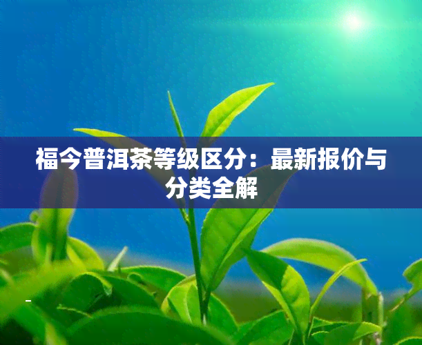 福今普洱茶等级区分：最新报价与分类全解