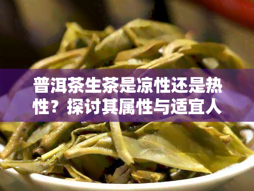 普洱茶生茶是凉性还是热性？探讨其属性与适宜人群