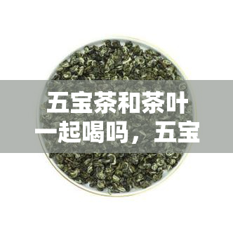 五宝茶和茶叶一起喝吗，五宝茶和茶叶能同时饮用吗？