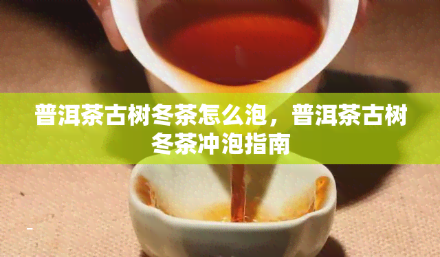 普洱茶古树冬茶怎么泡，普洱茶古树冬茶冲泡指南