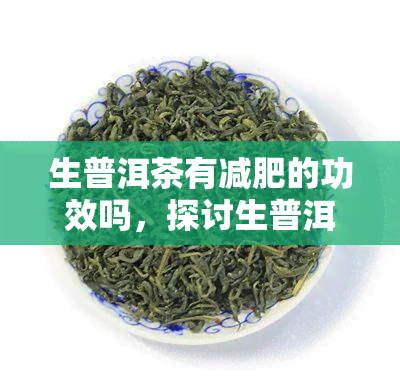 生普洱茶有减肥的功效吗，探讨生普洱茶的减肥功效，科学解析其作用机制