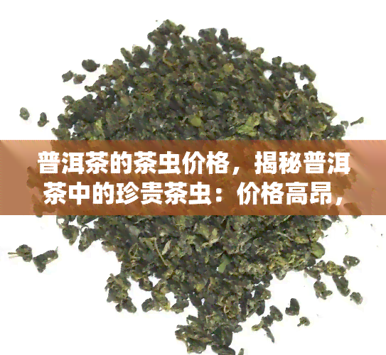 普洱茶的茶虫价格，揭秘普洱茶中的珍贵茶虫：价格高昂，为何备受追捧？