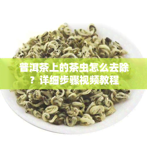 普洱茶上的茶虫怎么去除？详细步骤视频教程