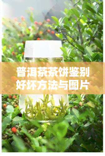 普洱茶茶饼鉴别好坏方法与图片全解析