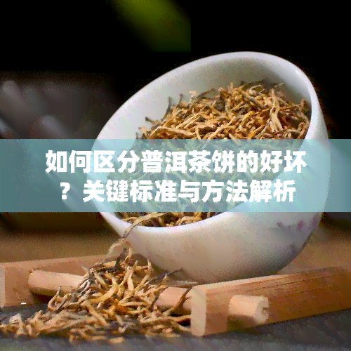 如何区分普洱茶饼的好坏？关键标准与方法解析