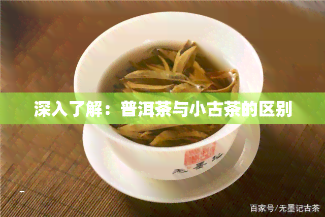 深入了解：普洱茶与小古茶的区别