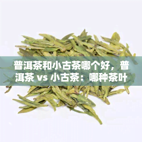 普洱茶和小古茶哪个好，普洱茶 vs 小古茶：哪种茶叶更胜一筹？