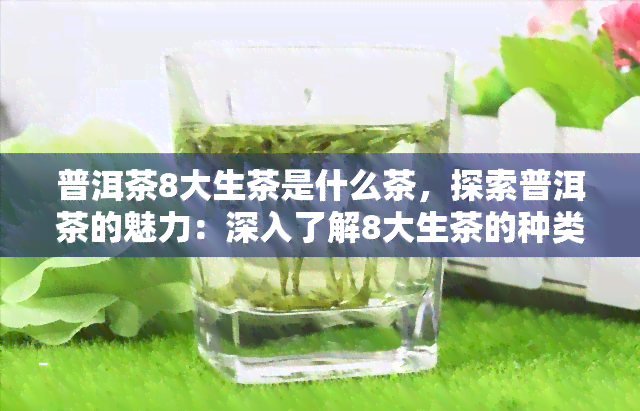 普洱茶8大生茶是什么茶，探索普洱茶的魅力：深入了解8大生茶的种类和特点