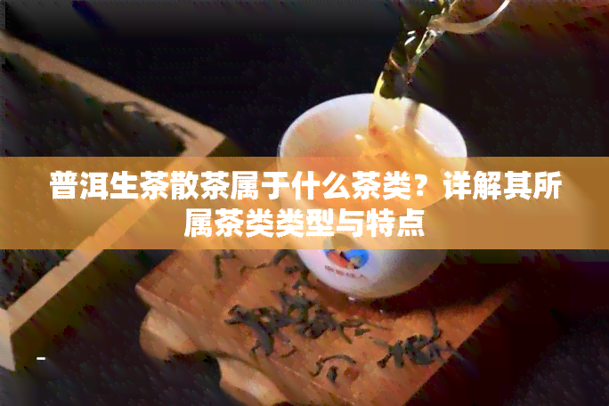 普洱生茶散茶属于什么茶类？详解其所属茶类类型与特点