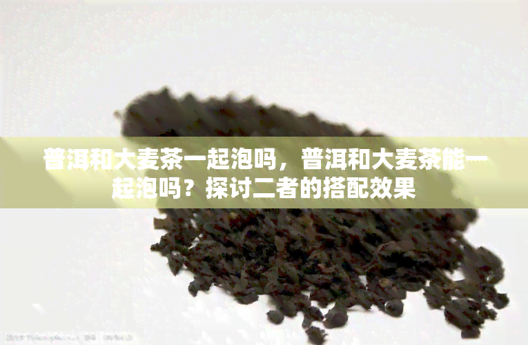 普洱和大麦茶一起泡吗，普洱和大麦茶能一起泡吗？探讨二者的搭配效果