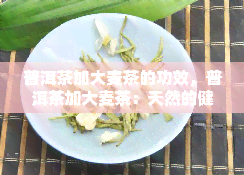 普洱茶加大麦茶的功效，普洱茶加大麦茶：天然的健饮品，你不可不知的神奇功效！