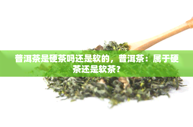 普洱茶是硬茶吗还是软的，普洱茶：属于硬茶还是软茶？