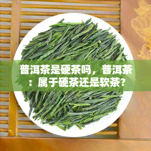 普洱茶是硬茶吗，普洱茶：属于硬茶还是软茶？