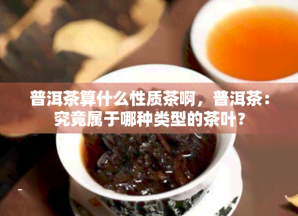 普洱茶算什么性质茶啊，普洱茶：究竟属于哪种类型的茶叶？