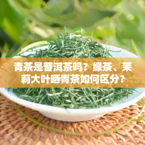 青茶是普洱茶吗？绿茶、茉莉大叶晒青茶如何区分？