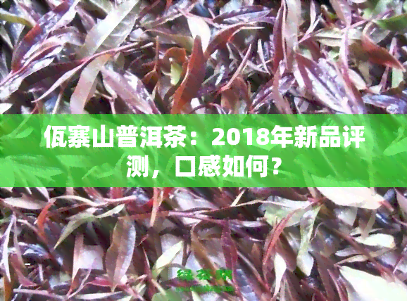 佤寨山普洱茶：2018年新品评测，口感如何？