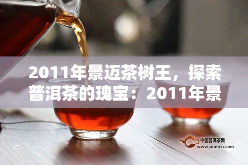 2011年景迈茶树王，探索普洱茶的瑰宝：2011年景迈茶树王