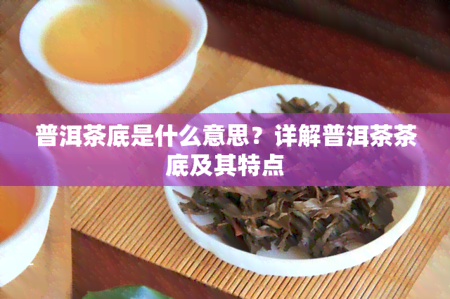 普洱茶底是什么意思？详解普洱茶茶底及其特点