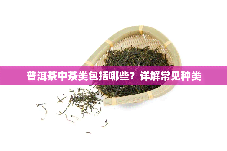 普洱茶中茶类包括哪些？详解常见种类