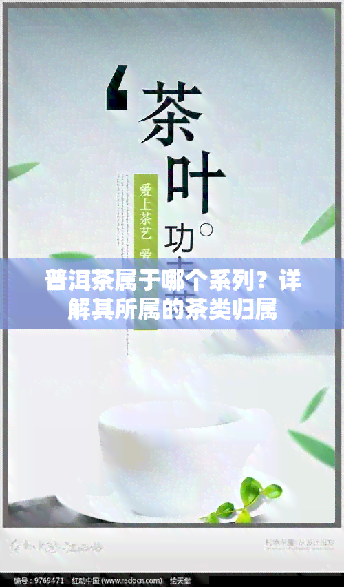 普洱茶属于哪个系列？详解其所属的茶类归属