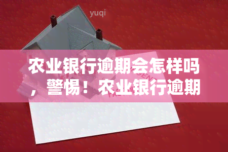 农业银行逾期会怎样吗，警惕！农业银行逾期可能带来的后果