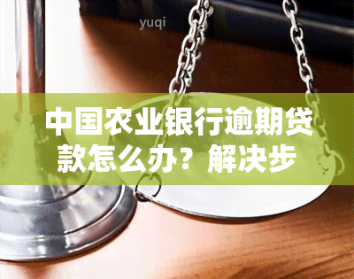 中国农业银行逾期贷款怎么办？解决步骤全攻略