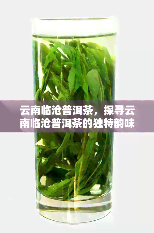 云南临沧普洱茶，探寻云南临沧普洱茶的独特韵味与历渊源