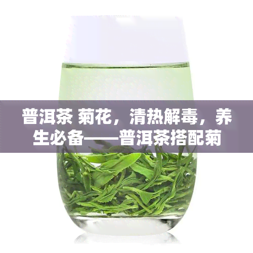 普洱茶 菊花，清热解，养生必备——普洱茶搭配菊花的健饮品